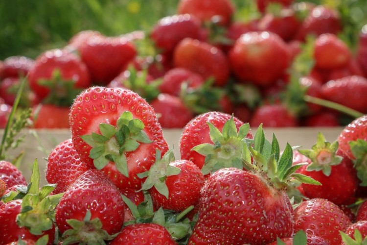 Kako se zaštititi od pesticida u ranom voću i povrću?