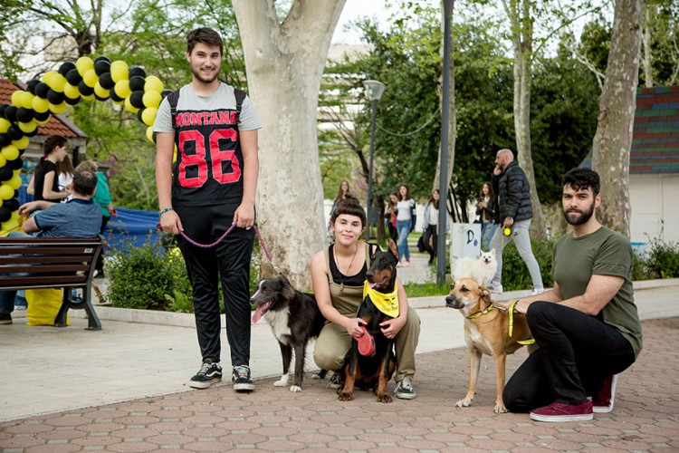 "Dogs trust": Druženjem obilježeno širenje podrške na HNK