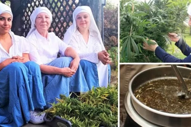 Tri časne sestre zaradile skoro milion evra od marihuane