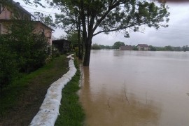 Na području srbačke opštine stanje sve teže, poplavljeno više od 50 kuća
