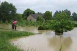 U Srpcu zaplavljeno oko 50 kuća, Sava u porastu