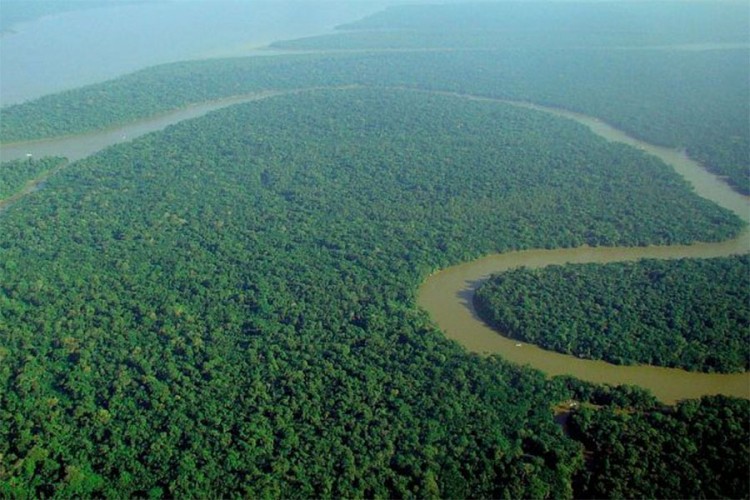 Brazil i dalje vodeći po uništavanju šuma