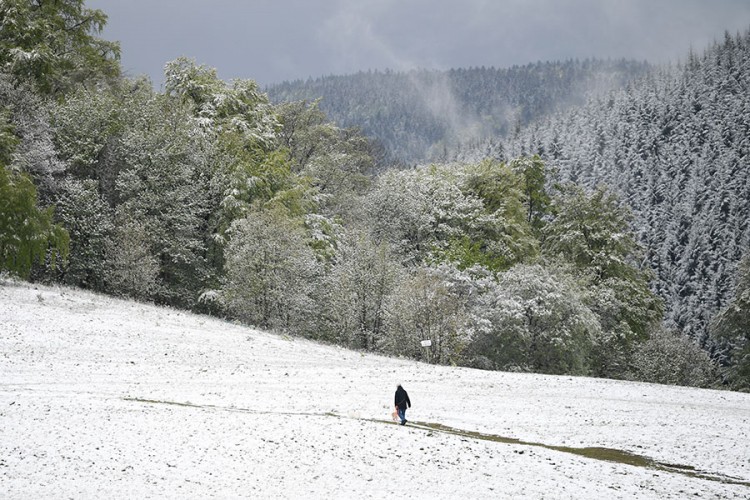 U dijelovima Njemačke pao snijeg