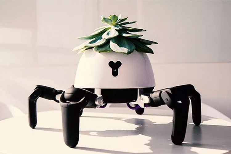 Robotska saksija koja biljke nosi ka suncu