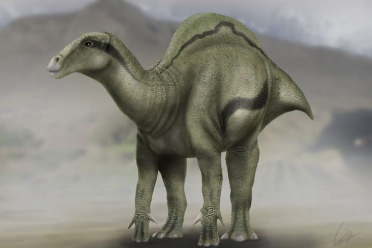 Pronađeni ostaci dinosaurusa stari 130 milona godina