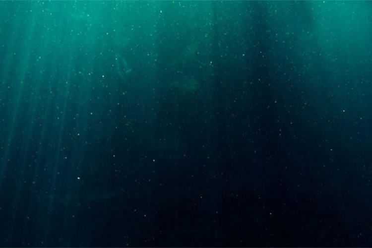 Naučnici sišli do najdublje tačke okeana