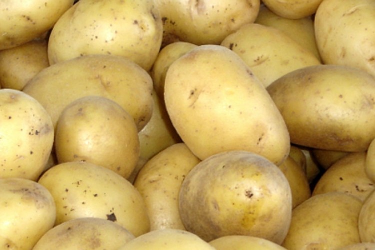 U RS zabranjen uvoz 23,5 tone krompira iz Grčke