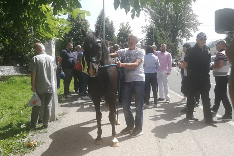 Aktivisti doveli konja ispred OHR-a, dobili prekršajni nalog