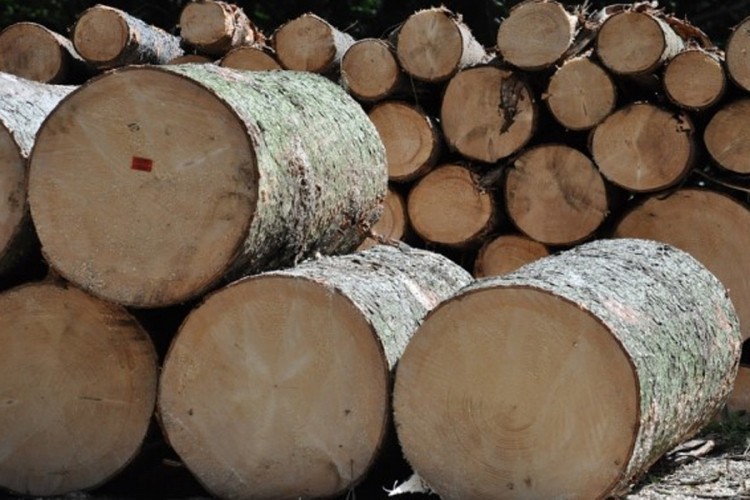 Ukradeno 10 metara kubnih ogrevnog drveta