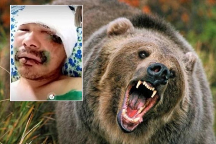 Rus odgrizao medvjedu jezik