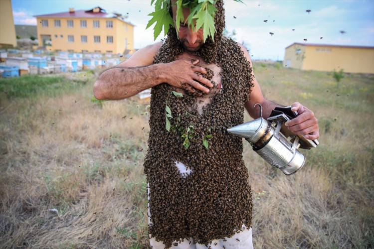 "Čovjek pčela" želi ući u Guinnessovu knjigu rekorda