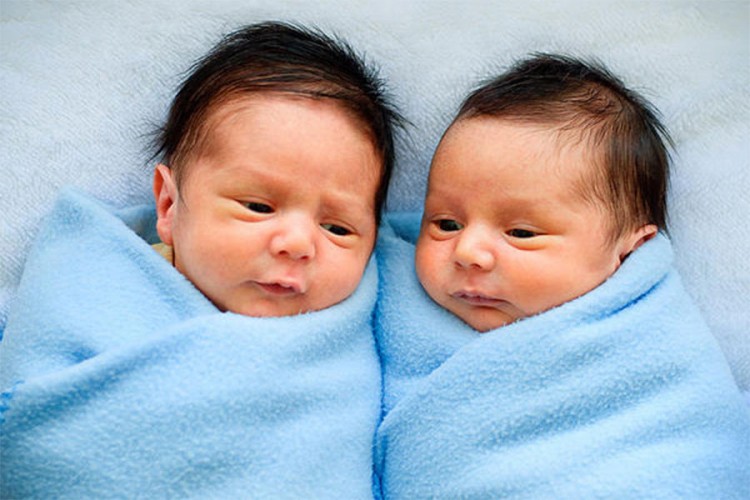 U selu 250 parova ima blizance, genetičari zbunjeni