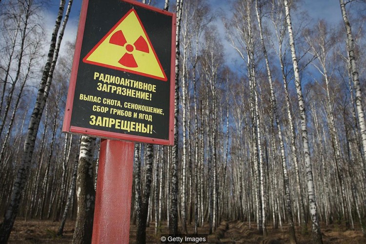Kako je priroda zagospodarila u Černobilju