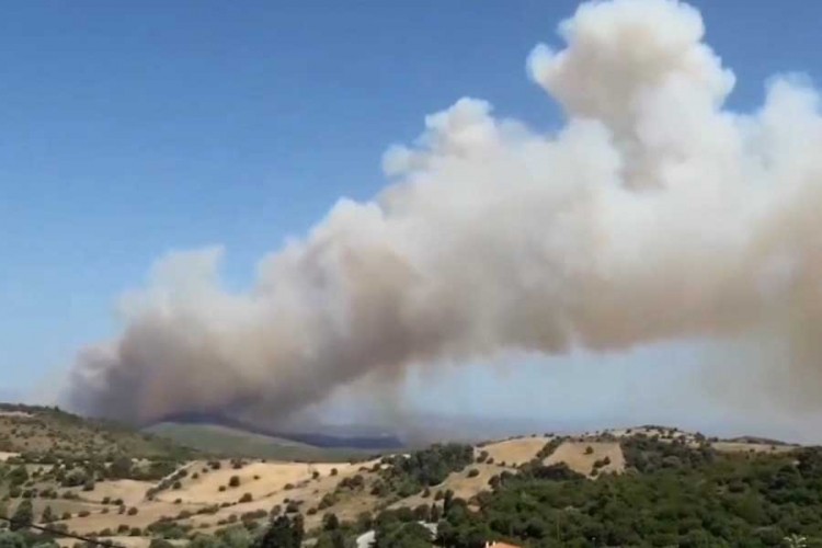 Bjesne požari na grčkom ostrvu Evija