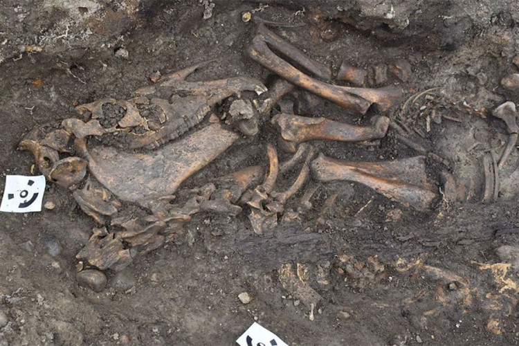 Pronađene dvije vikinške brodske grobnice