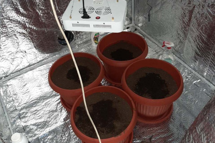 Otkrivena nova laboratorija za uzgoj skanka u Banjaluci, uhapšena dvojica