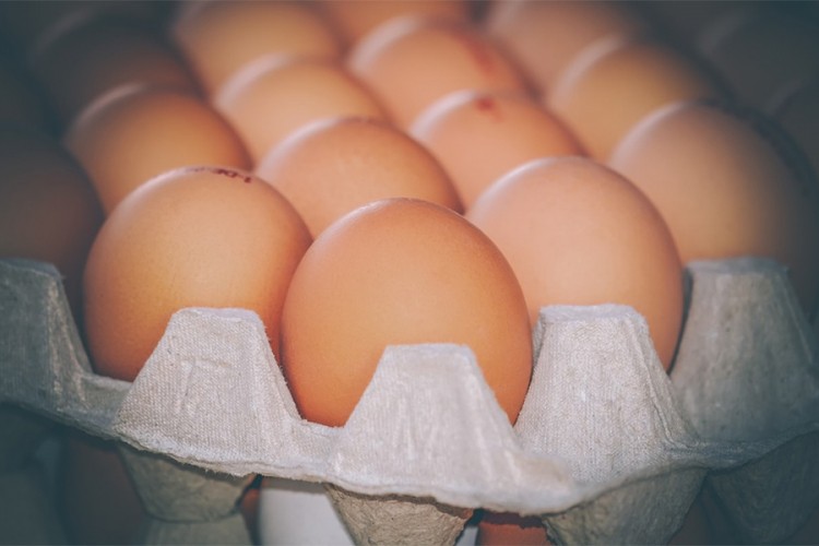 Živinari iz BiH se pripremaju za izvoz jaja za preradu u EU