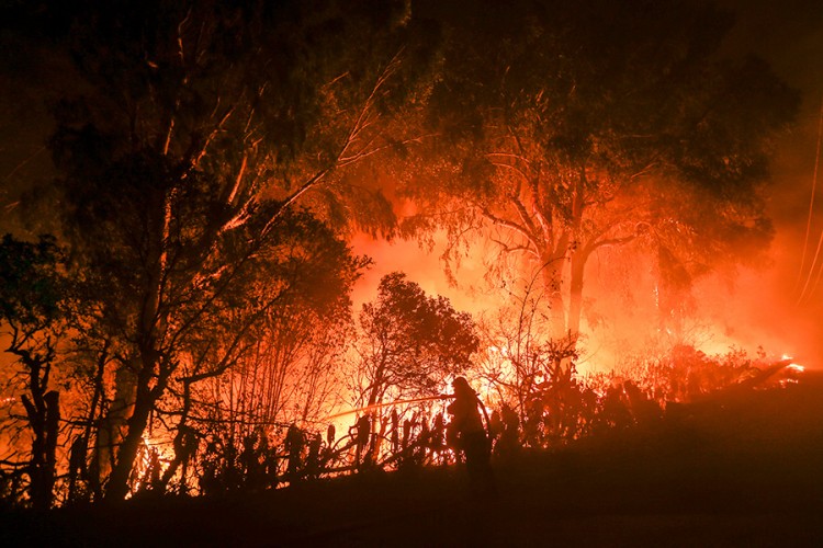 Gori Portugal: Više od 1.000 vatrogasaca se bori protiv požara