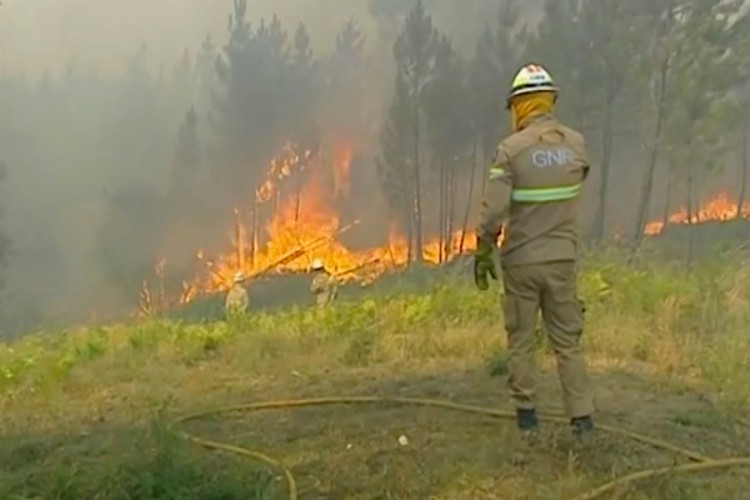 Vatrogasci obuzdali dva velika požara u Portugalu