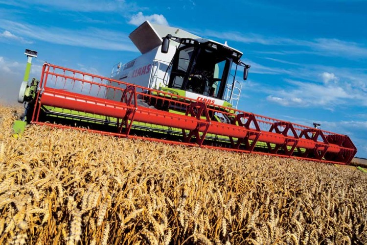 Loša godina za pšenicu u Srpskoj