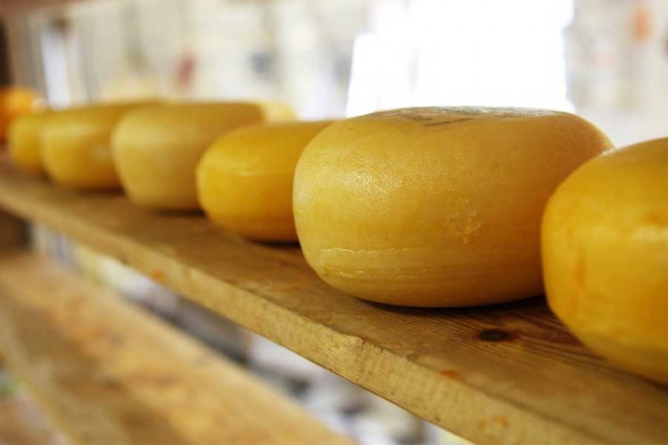 Tri sira iz Srbije među najboljim u svijetu