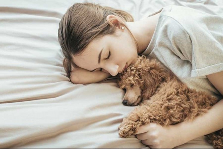 Žene bolje spavaju uz psa