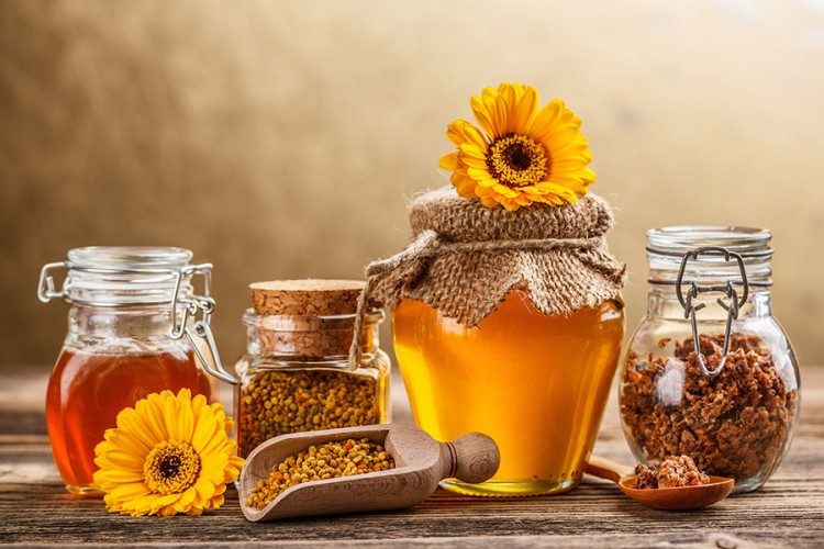 Otvorena izložba meda i pčelinjih proizvoda