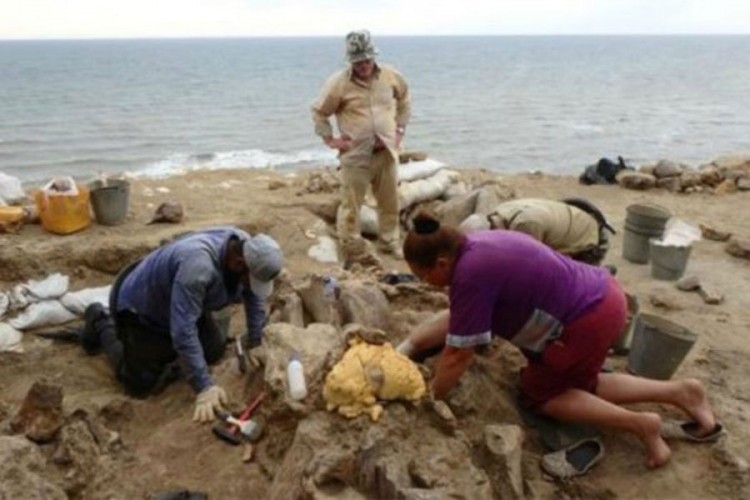 Epohalno otkriće ruskih paleontologa
