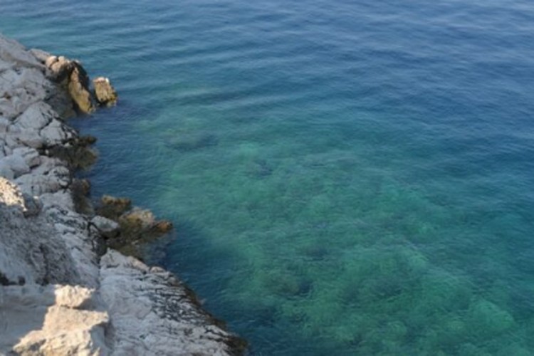 Jadransko more zagađeno, postoji opasnost od zaraze