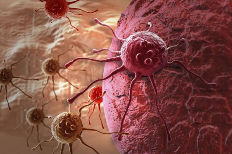 Naučnici ćelije raka pretvorili u salo