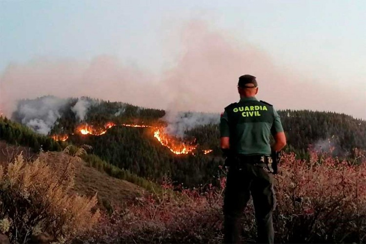 Požar na Kanarskim ostrvima, evakuisano 4.000 ljudi