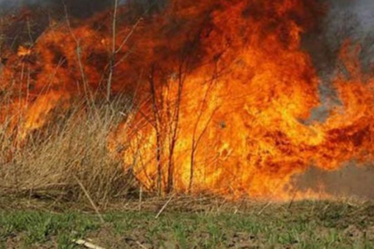 Ponovo aktivan požar kod Neuma