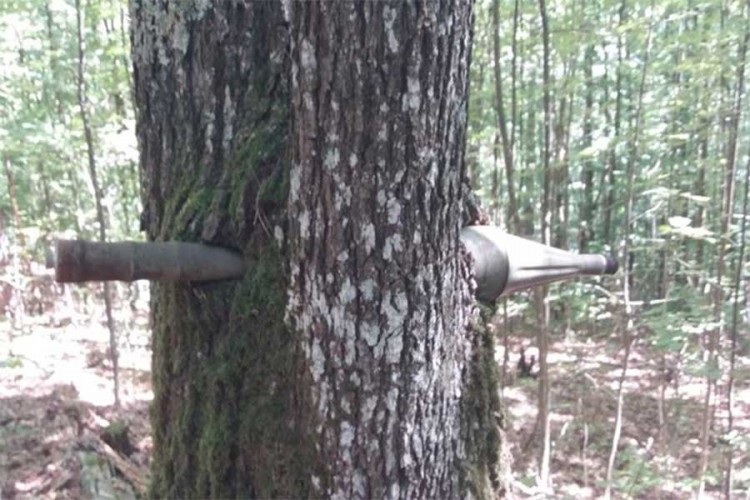 Kod Lukavca pronađen minobacački projektil zabijen u drvo