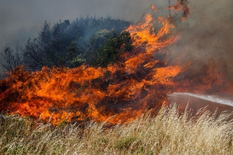 Požar kod Nove Gorice gasilo 200 vatrogasaca