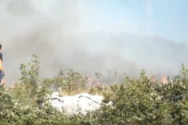 Požar kod Trebinja se proširio, vjetar otežava gašenje