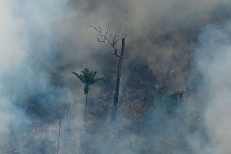 Zbog čega je došlo do ogromnih požara u Amazoniji?
