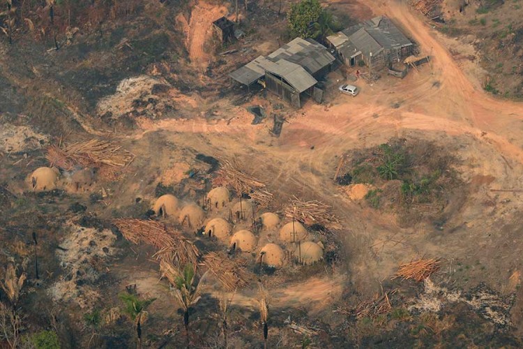 Naučnici: Iza požara u Amazonu krije se međunarodna glad za govedinom i sojom