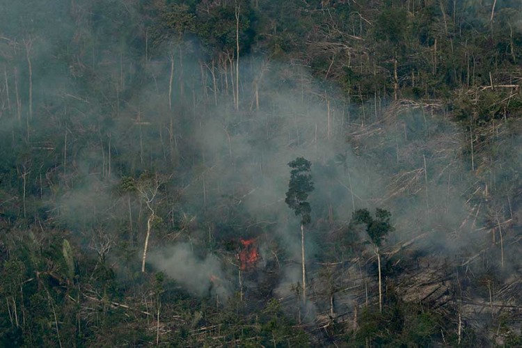 Vojni avioni gase požare u Amazoniji