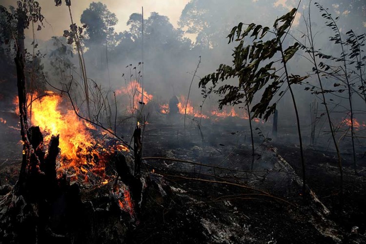 Ministarstvo u Amazoniji: Požari nisu pod kontrolom