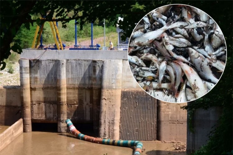 Kvar na zatvaraču brane prouzrokovao pomor ribe