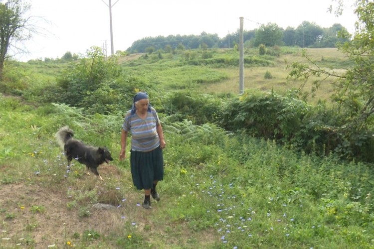 Medvjed svaki dan "posjećuje" staricu u podgrmečkom selu