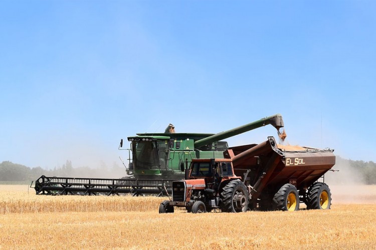 Podrška od pet feninga za pšenicu ogromna za farmere