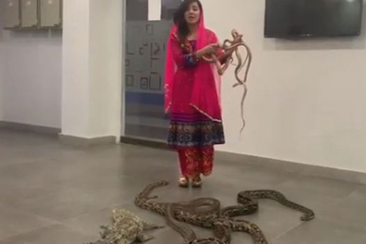 Pakistanska pjevačica prijeti da će poslati zmije na premijera Indije