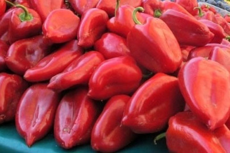 "Tropic" i "Moj market": Za vi­ken­d sjaj­na ci­je­na pa­pri­ke ro­ge