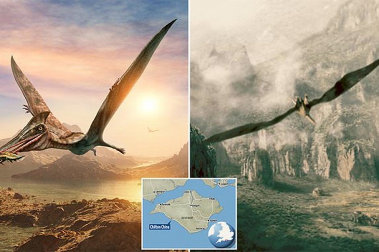 Pronađeni fosili džinovskog pterosaurusa