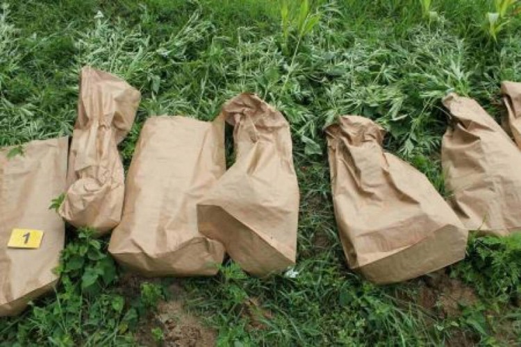Pronađeno 159 kilograma indijske konoplje