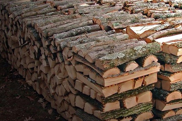 Ilegalna sječa šume na Manjači, trupci pronađeni u dvorištu u Karanovcu
