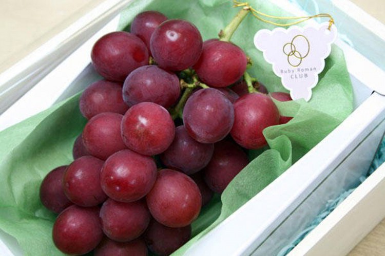 Najskuplje grožđe na svijetu