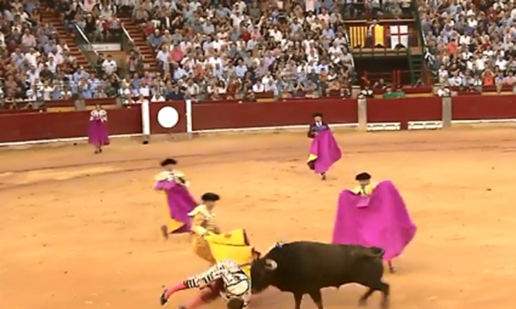 Uznemirujuće scene u Saragosi, bik više puta rogovima izbo toreadora