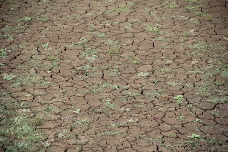 Alarm zbog suše u Kini